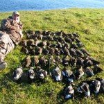 Las Flores Argentina Duck Hunting