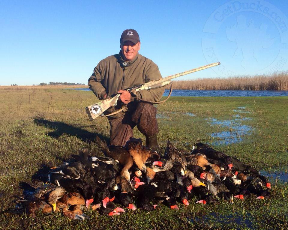 Benelli Shotguns Duck Hunting Ramsey Russell
