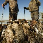 Rio Salado Argentina Duck Hunting