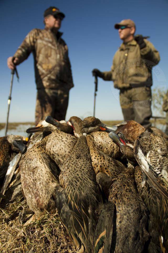 Rio Salado Argentina Duck Hunting