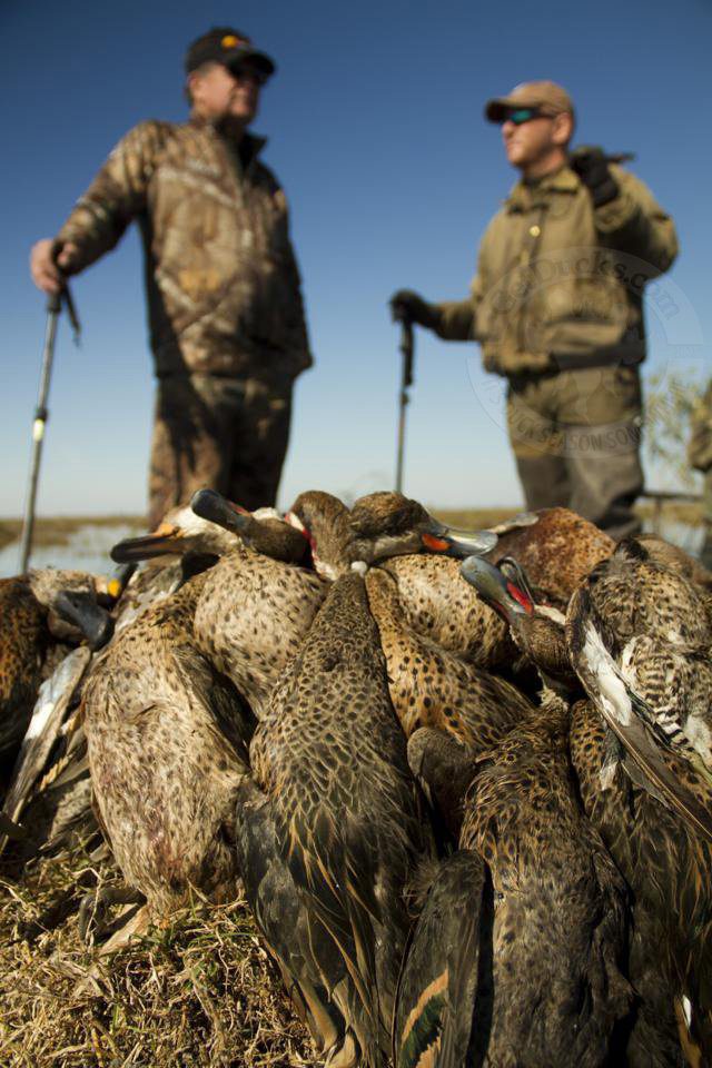 Rio Salado Argentina Duck Hunting