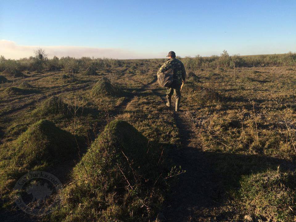 Rio Salado Argentina Duck Hunting