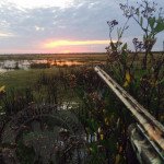 Rio Salado Argentina Duck Hunting