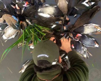 Rio Salado Argentina Duck Hunting