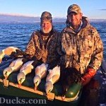 Alaska King Eider Hunting