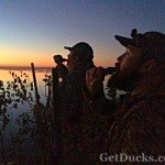 Obregon Mexico Duck Hunting