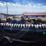 Alaska King Eider Hunting