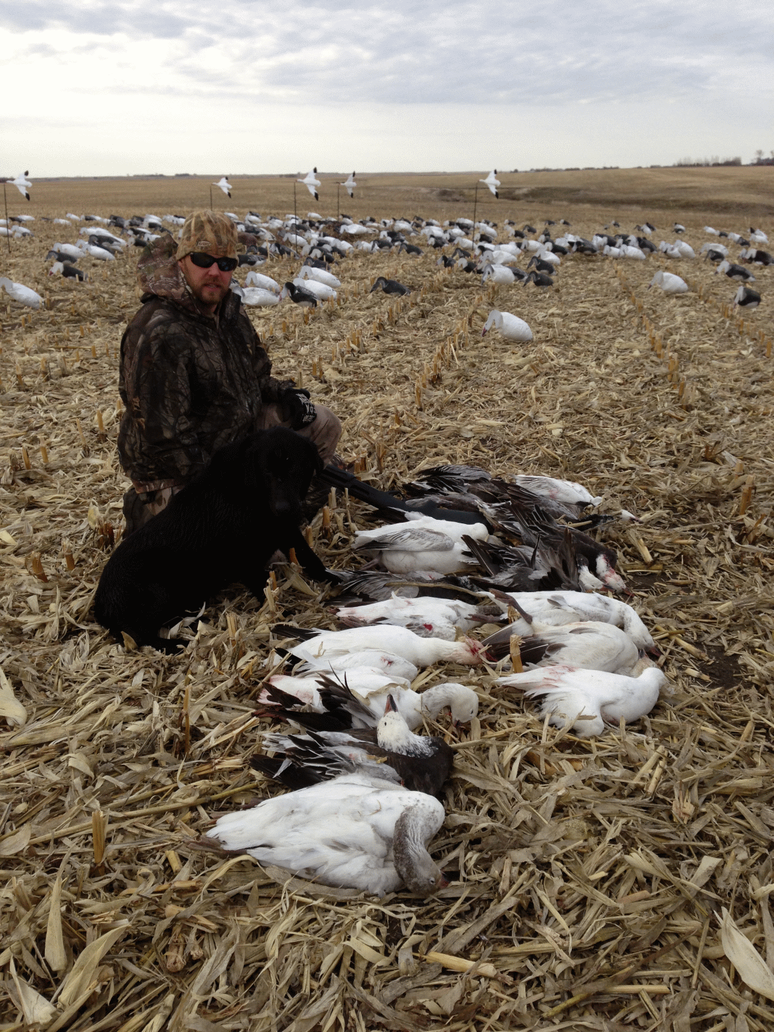 Manitoba Spring Snow Goose Hunting Ramsey Russell's