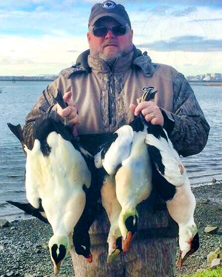 guided eider hunting