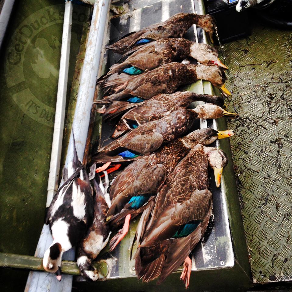 sink box duck hunting nova scotia