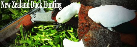 New Zealand Duck Hunting New Zealand Duck Hunting