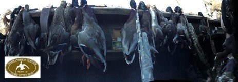 Arkansas Duck Hunting