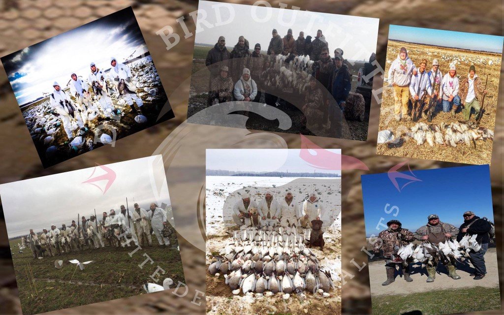 spring snow goose hunting guide