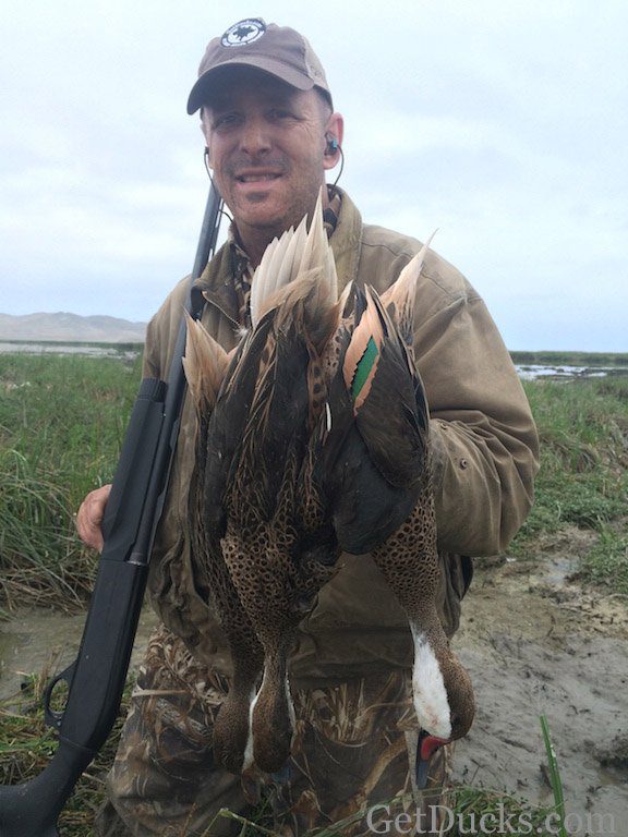 Peru Duck Hunting Species