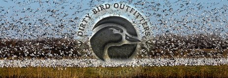 Arkansas Spring Snow Goose Hunting