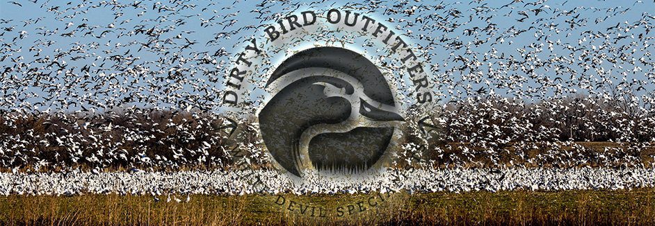 Arkansas Spring Snow Goose Hunting