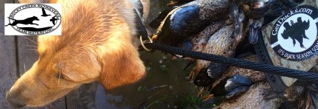 Texas Teal Hunting – Coastal Prairie