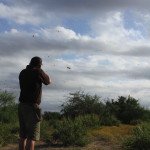 White Wing Dove Hunting Mexico