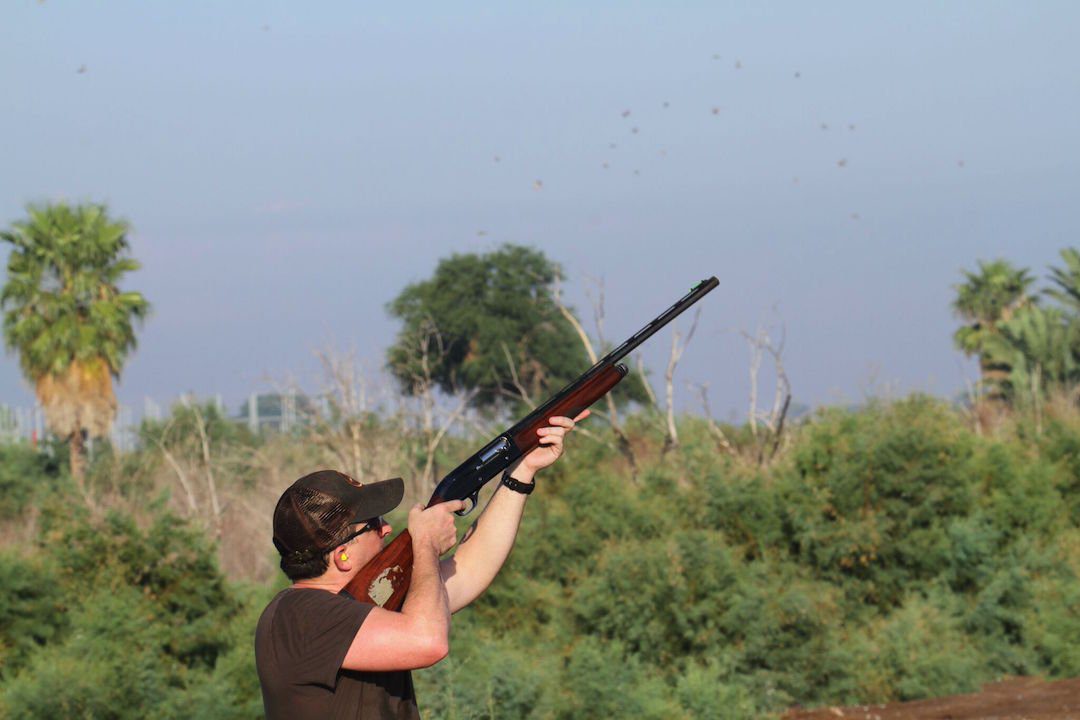 Mexico White Wing Dove Hunting Shooting