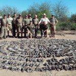 Mexico White Wing Dove Hunting Groups