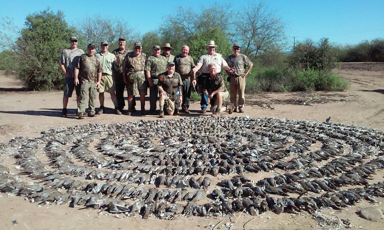 Mexico White-Winged Dove Hunting - Ramsey Russell's GetDucks.com