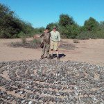 Mexico White Wing Dove HuntingBest Mexico White Wing Dove Hunting Outfitters