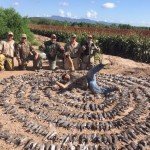 Mexico White Wing Dove Hunting Experiences