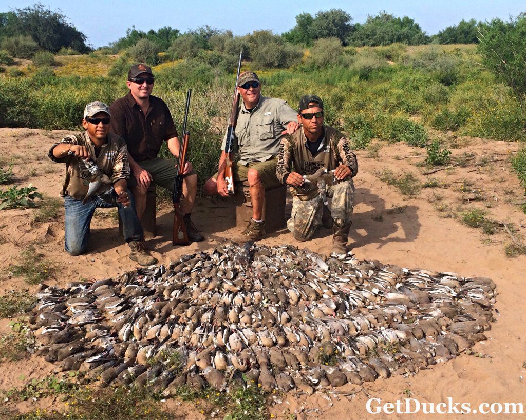 Mexico White Wing Dove Hunting