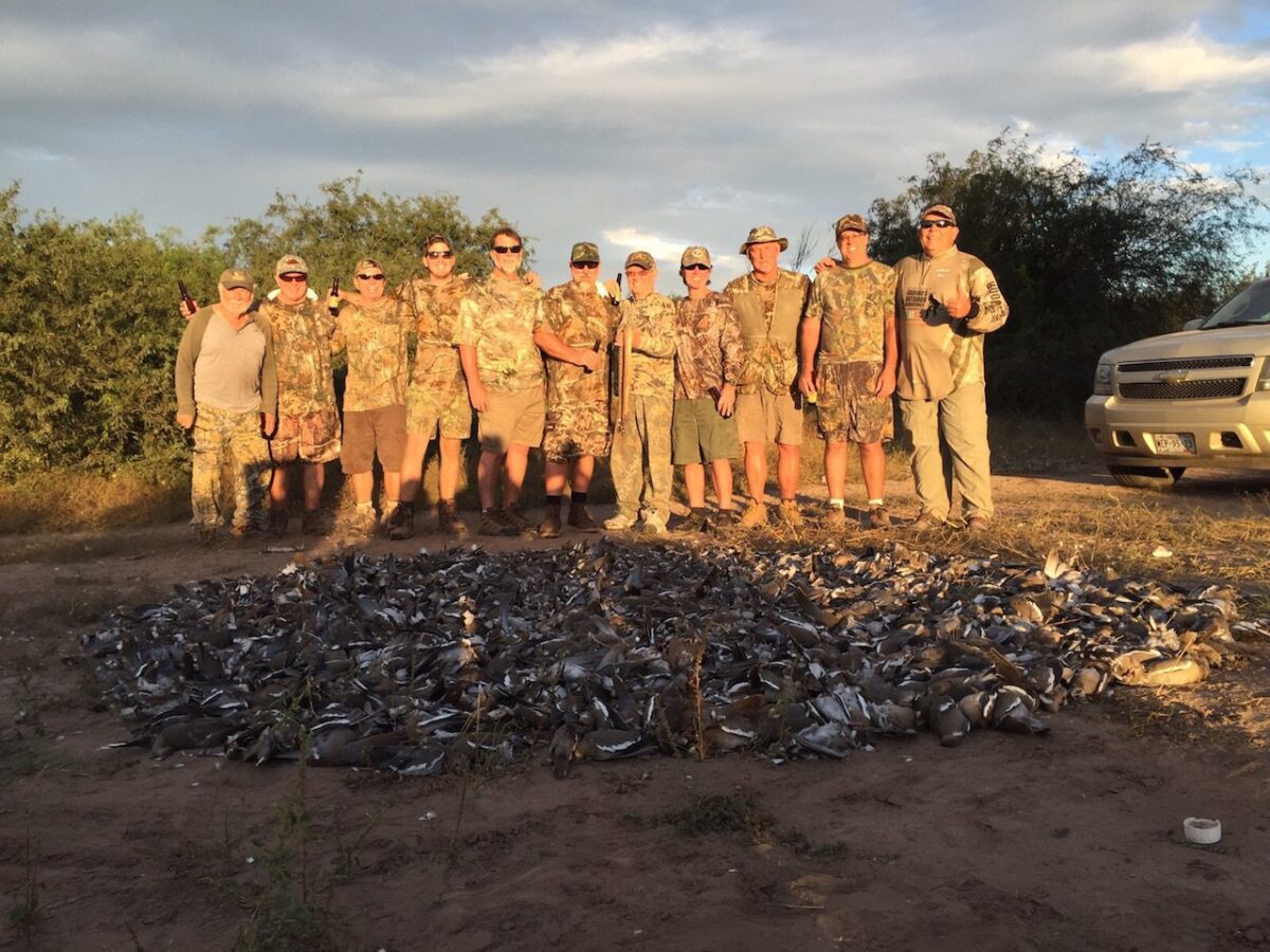 Mexico White Wing Dove Hunting Bag Limits