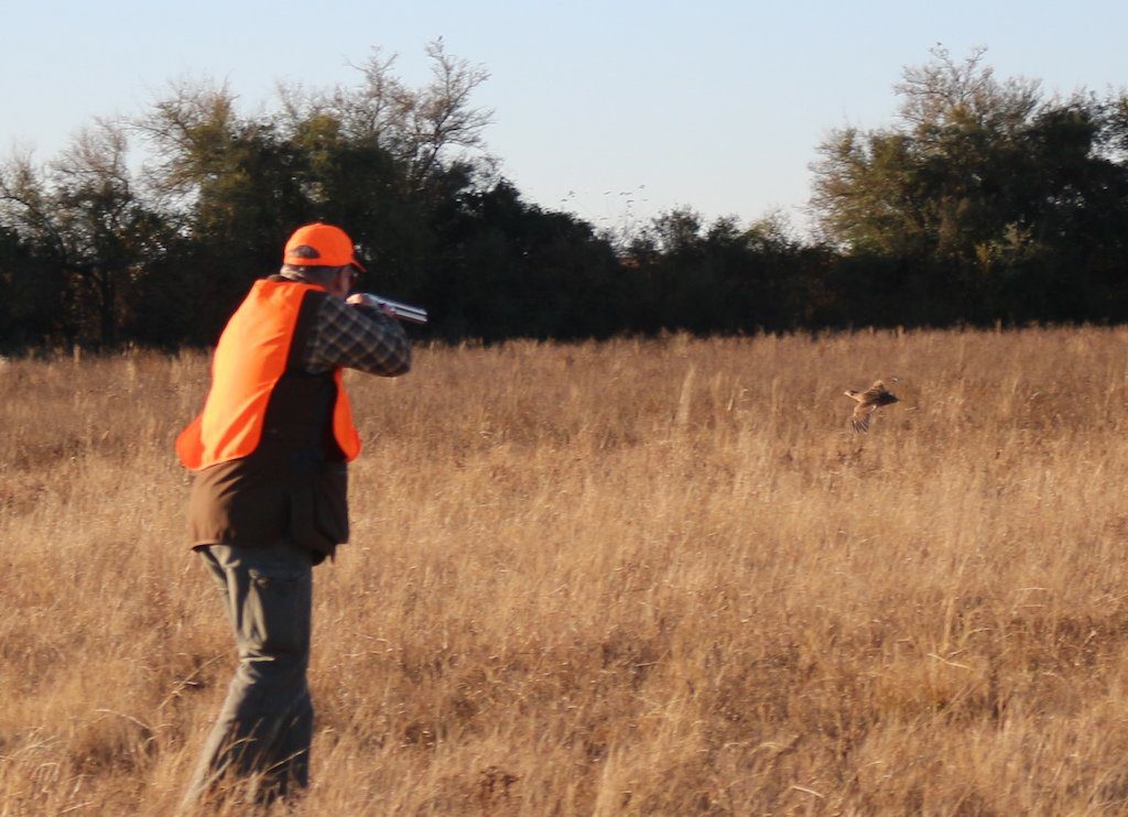 Los Ciebos Argentina guided duck hunting tours