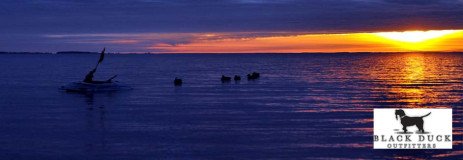 Chesapeake Bay Maryland Duck Hunting