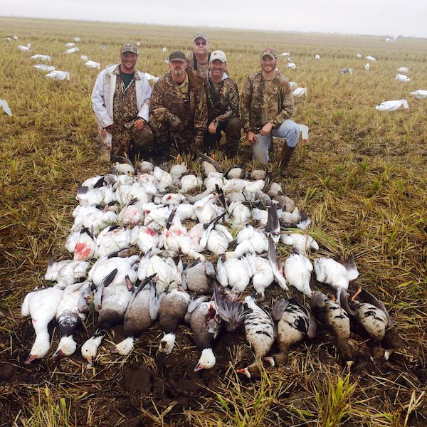 texas snow goose hunting guide 847352