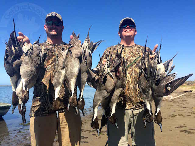 mexico brant hunt_2807