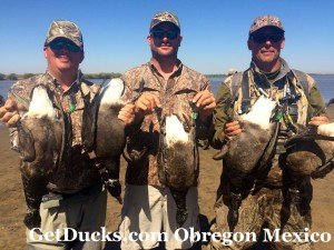 mexico brant hunting Obregon_8216