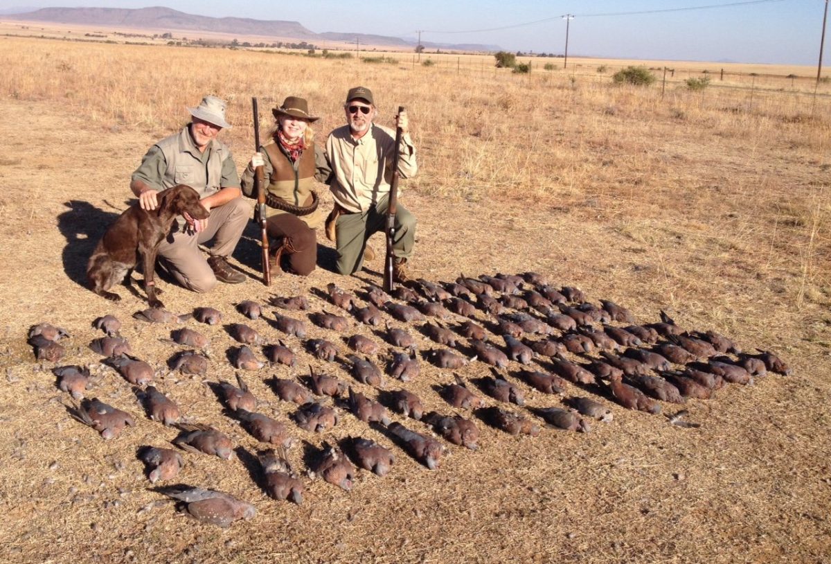 Africa Bird Hunting