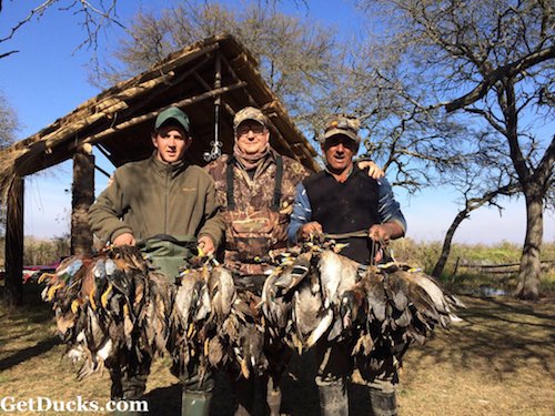 argentina duck hunt rio salado