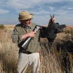 South Africa Bird Hunting Tours