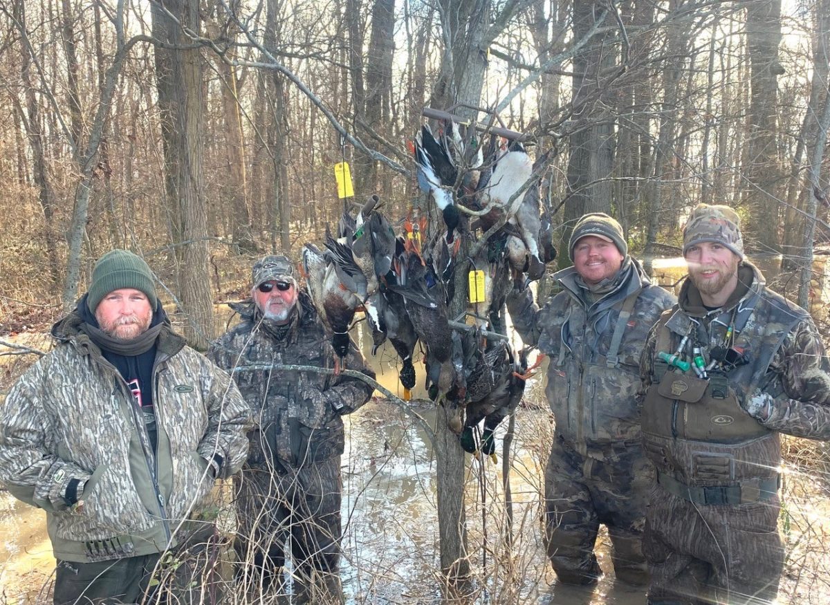 Missouri Duck Hunting Guided Hunts Pure Hen Southern Duck Lodge
