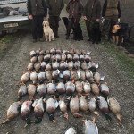 Top Sweden Goose Hunts
