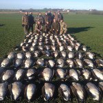 Best Sweden Goose Hunting Guided Expeditions