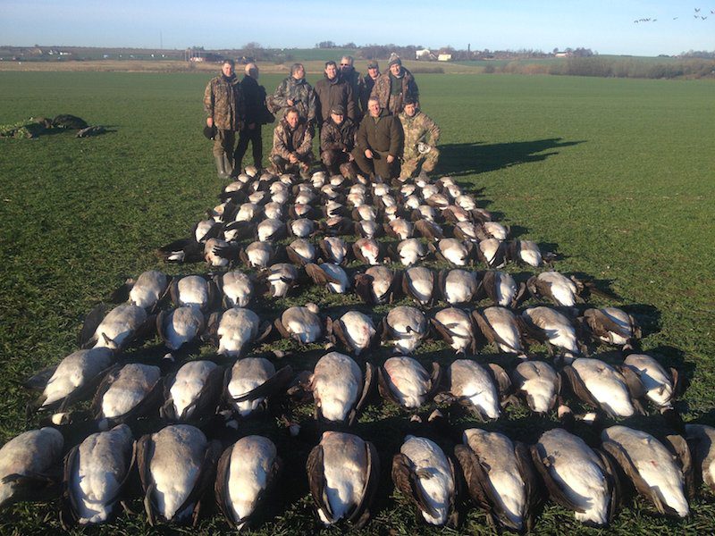 Best Sweden Goose Hunting Guided Expeditions
