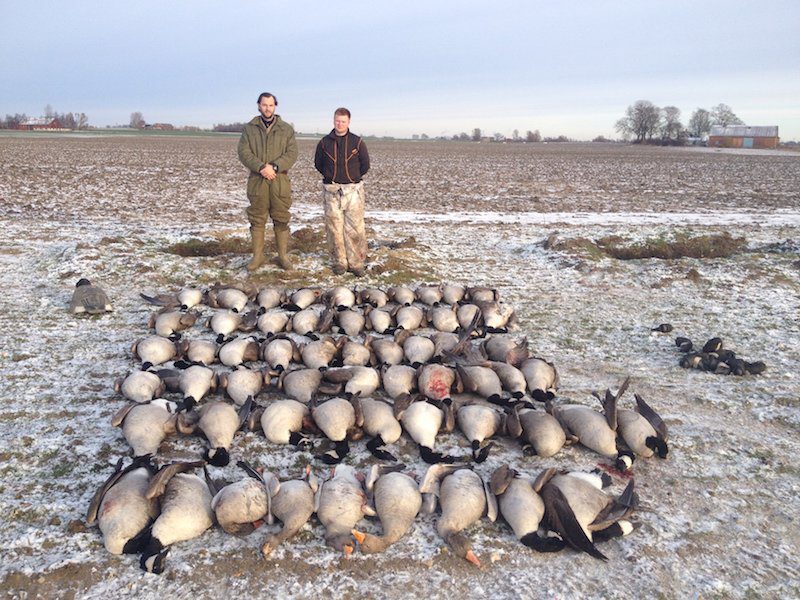 Sweden Goose Hunting Guided Expeditions