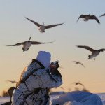 Sweden Goose Hunting Guided Expeditions