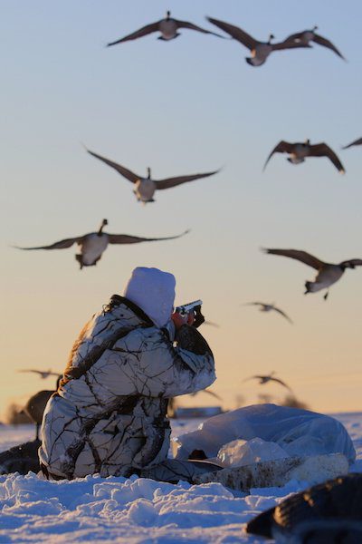 Sweden Goose Hunting Guided Expeditions