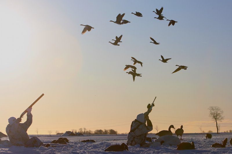 Sweden Goose Hunting Blinds