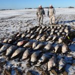 Top Sweden Goose Hunting Guided Tours