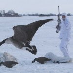 Best Sweden Goose Hunting Locations