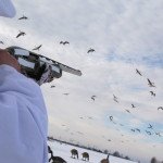 Top Sweden Goose Hunting Locations