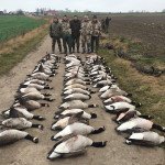 Sweden Goose Hunting Limits