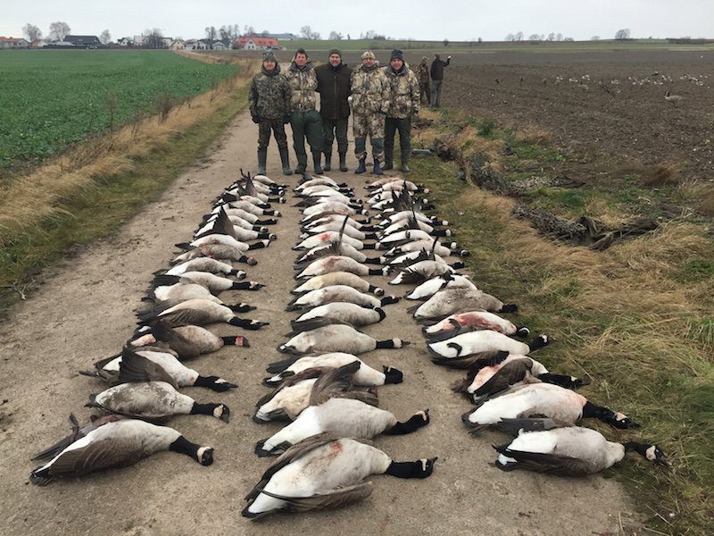 Sweden Goose Hunting Limits